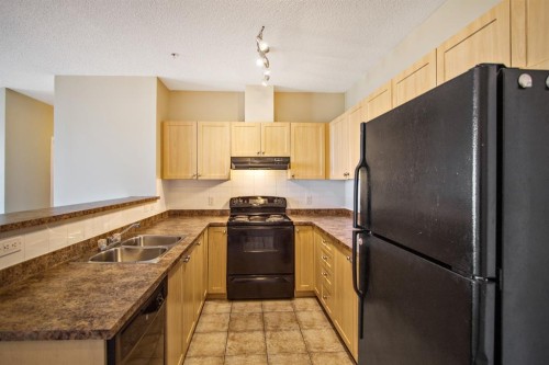 1308-333 Taravista Drive Ne, Calgary, AB - Indoor Photo Showing Kitchen With Double Sink