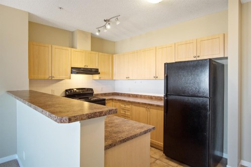 1308-333 Taravista Drive Ne, Calgary, AB - Indoor Photo Showing Kitchen With Double Sink