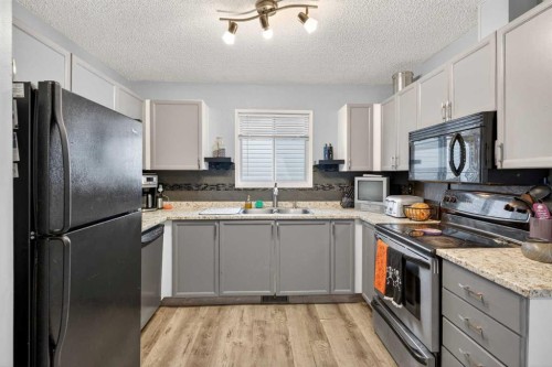 20 Martinview Road Ne, Calgary, AB - Indoor Photo Showing Kitchen With Double Sink