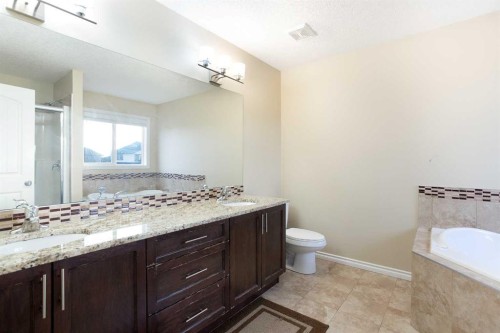 169 Taralake Manor Ne, Calgary, AB - Indoor Photo Showing Bathroom