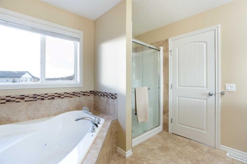 169 Taralake Manor Ne, Calgary, AB - Indoor Photo Showing Bathroom