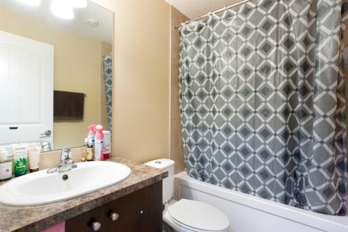 169 Taralake Manor Ne, Calgary, AB - Indoor Photo Showing Bathroom