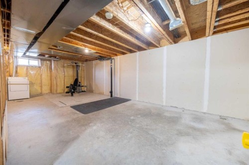 13-204 Strathaven Drive, Strathmore, AB - Indoor Photo Showing Basement