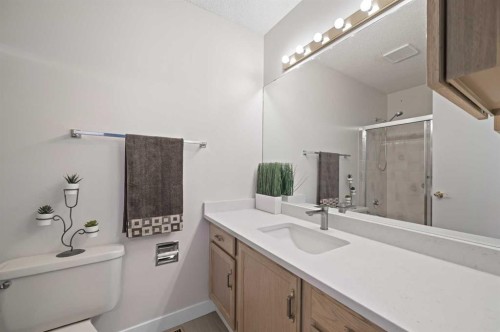 22 Sandarac Circle Nw, Calgary, AB - Indoor Photo Showing Bathroom
