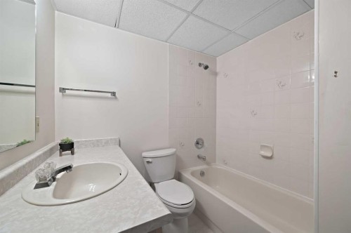 22 Sandarac Circle Nw, Calgary, AB - Indoor Photo Showing Bathroom
