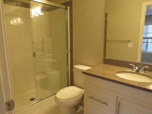 309 Evansridge Park Nw, Calgary, AB - Indoor Photo Showing Bathroom