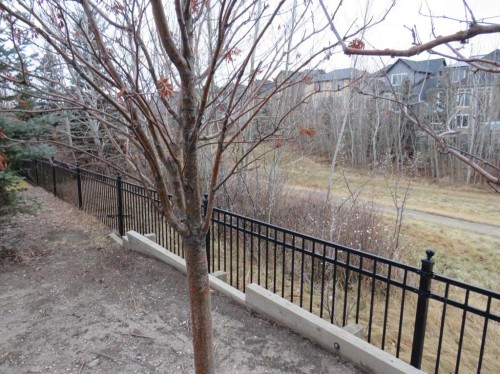 309 Evansridge Park Nw, Calgary, AB - Outdoor