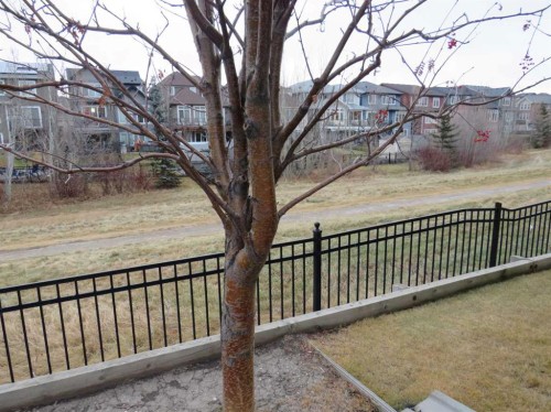 309 Evansridge Park Nw, Calgary, AB - Outdoor