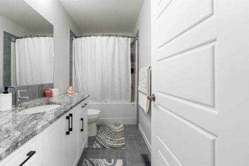 1153 Chinook Gate Bay Sw, Airdrie, AB - Indoor Photo Showing Bathroom