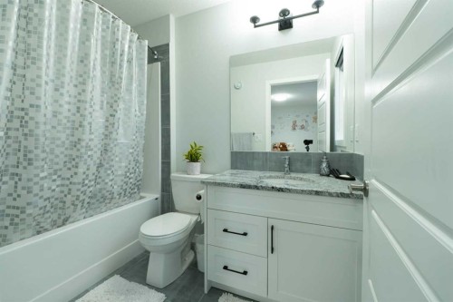 1153 Chinook Gate Bay Sw, Airdrie, AB - Indoor Photo Showing Bathroom