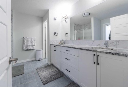 1153 Chinook Gate Bay Sw, Airdrie, AB - Indoor Photo Showing Bathroom
