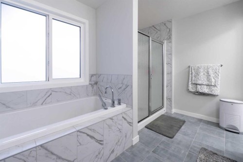 1153 Chinook Gate Bay Sw, Airdrie, AB - Indoor Photo Showing Bathroom
