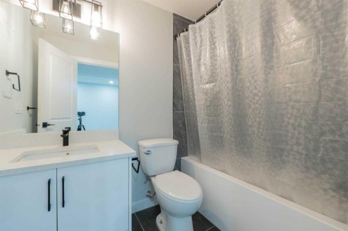 1153 Chinook Gate Bay Sw, Airdrie, AB - Indoor Photo Showing Bathroom