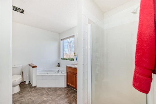 214 Coville Circle Ne, Calgary, AB - Indoor Photo Showing Bathroom