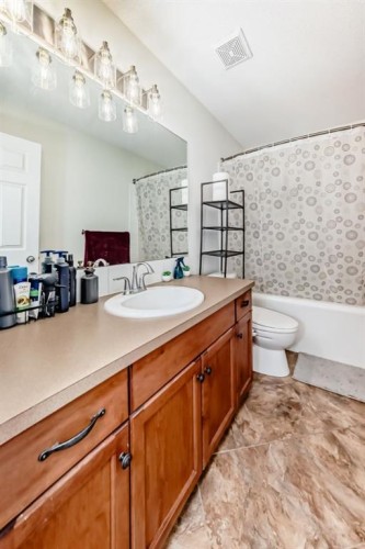 214 Coville Circle Ne, Calgary, AB - Indoor Photo Showing Bathroom