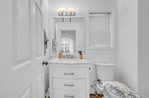 300 Taracove Estate Drive Ne, Calgary, AB - Indoor Photo Showing Bathroom