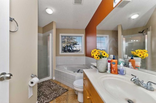 263 Citadel Meadow Grove Nw, Calgary, AB - Indoor Photo Showing Bathroom
