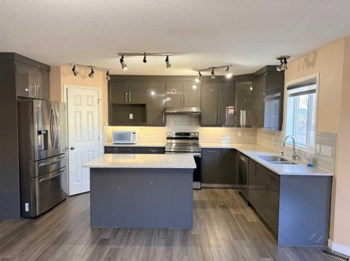 672 Taradale Drive Ne, Calgary, AB - Indoor Photo Showing Kitchen With Double Sink With Upgraded Kitchen