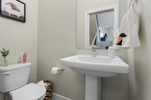 1191 Channelside Drive Sw, Airdrie, AB - Indoor Photo Showing Bathroom