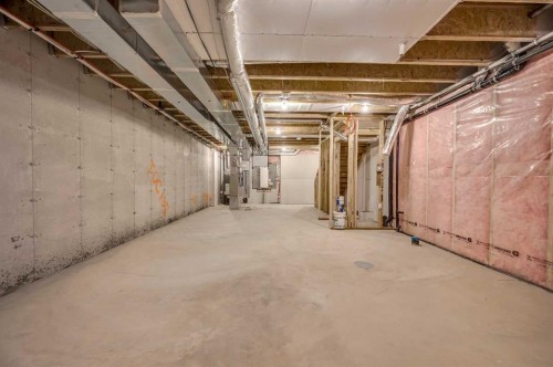 164 Legacy Reach Close Se, Calgary, AB - Indoor Photo Showing Basement