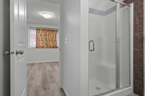 39 New Brighton Point Se, Calgary, AB - Indoor Photo Showing Bathroom