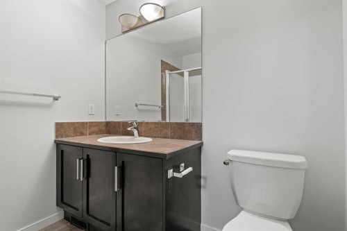 39 New Brighton Point Se, Calgary, AB - Indoor Photo Showing Bathroom