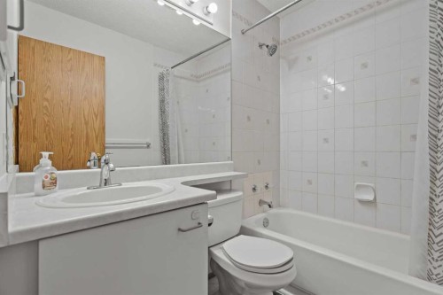 6938 Laguna Way Ne, Calgary, AB - Indoor Photo Showing Bathroom