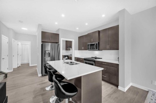 568 Cornerstone Avenue Ne, Calgary, AB - Indoor Photo Showing Kitchen With Double Sink With Upgraded Kitchen