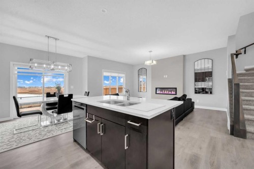 568 Cornerstone Avenue Ne, Calgary, AB - Indoor Photo Showing Kitchen With Double Sink