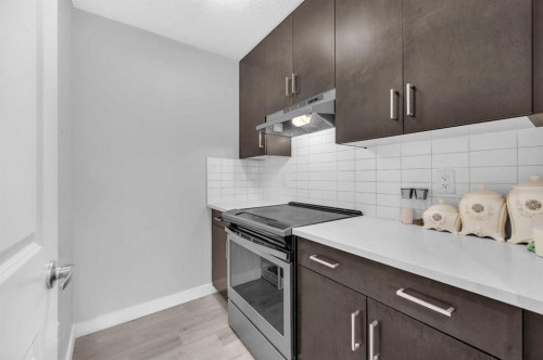 568 Cornerstone Avenue Ne, Calgary, AB - Indoor Photo Showing Kitchen