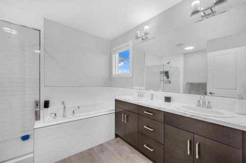 568 Cornerstone Avenue Ne, Calgary, AB - Indoor Photo Showing Bathroom