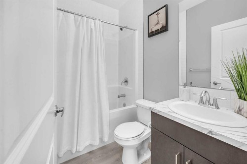 568 Cornerstone Avenue Ne, Calgary, AB - Indoor Photo Showing Bathroom