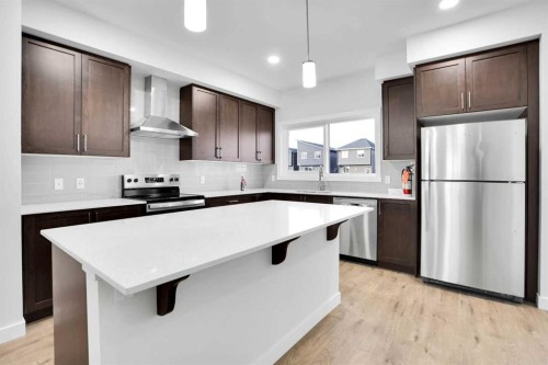 2007 Cornerstone Boulevard Ne, Calgary, AB - Indoor Photo Showing Kitchen With Upgraded Kitchen