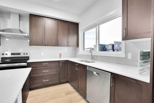 2007 Cornerstone Boulevard Ne, Calgary, AB - Indoor Photo Showing Kitchen With Double Sink
