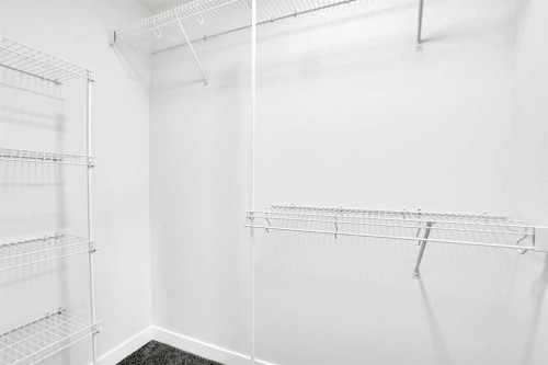 2007 Cornerstone Boulevard Ne, Calgary, AB - Indoor With Storage