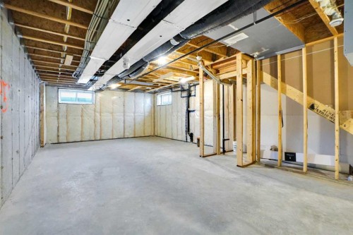 2007 Cornerstone Boulevard Ne, Calgary, AB - Indoor Photo Showing Basement
