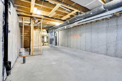 2007 Cornerstone Boulevard Ne, Calgary, AB - Indoor Photo Showing Basement
