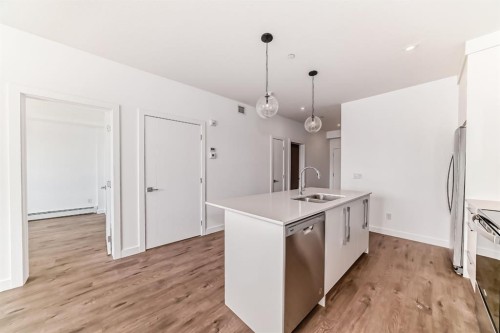 1507-60 Skyview Ranch Road Ne, Calgary, AB - Indoor Photo Showing Kitchen With Double Sink With Upgraded Kitchen