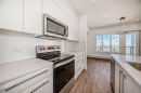 3517-60 Skyview Ranch Road Ne, Calgary, AB  - Indoor Photo Showing Kitchen With Stainless Steel Kitchen With Upgraded Kitchen 