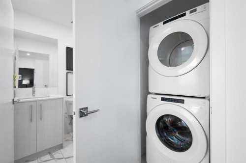 3314-6 Merganser Drive West, Chestermere, AB - Indoor Photo Showing Laundry Room