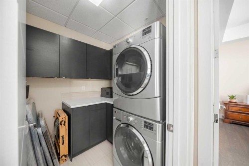 303-11 Burma Star Road Sw, Calgary, AB - Indoor Photo Showing Laundry Room