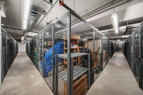 303-11 Burma Star Road Sw, Calgary, AB - Indoor With Storage