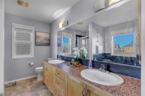 6 Morningside Landing Sw, Airdrie, AB - Indoor Photo Showing Bathroom