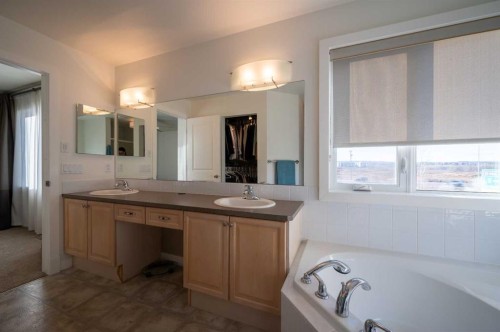 82 Chapalina Close Se, Calgary, AB - Indoor Photo Showing Bathroom