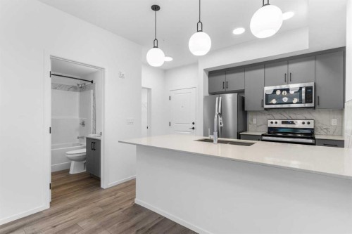 #217-140 Mahogany Street Se, Calgary, AB - Indoor Photo Showing Kitchen With Stainless Steel Kitchen With Upgraded Kitchen