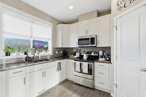17 Auburn Meadows Link Se, Calgary, AB - Indoor Photo Showing Kitchen With Double Sink