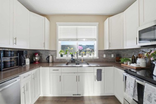 17 Auburn Meadows Link Se, Calgary, AB - Indoor Photo Showing Kitchen