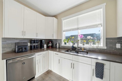 17 Auburn Meadows Link Se, Calgary, AB - Indoor Photo Showing Kitchen With Double Sink