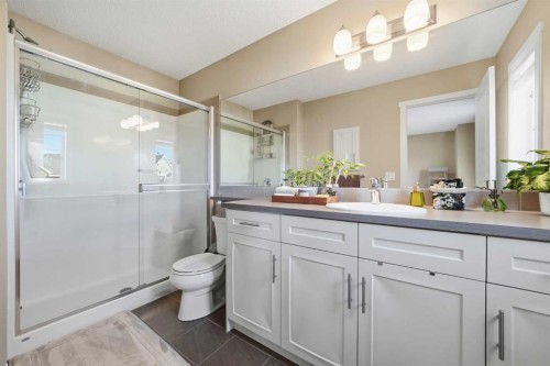 17 Auburn Meadows Link Se, Calgary, AB - Indoor Photo Showing Bathroom