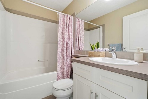 17 Auburn Meadows Link Se, Calgary, AB - Indoor Photo Showing Bathroom